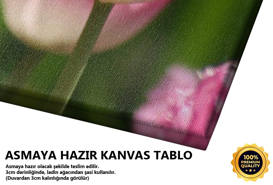 Pembe Lale Tablo