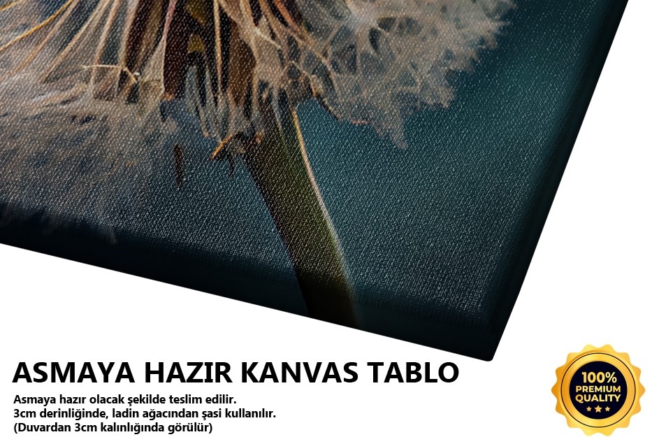 Dandelion Çiçeği Detayı