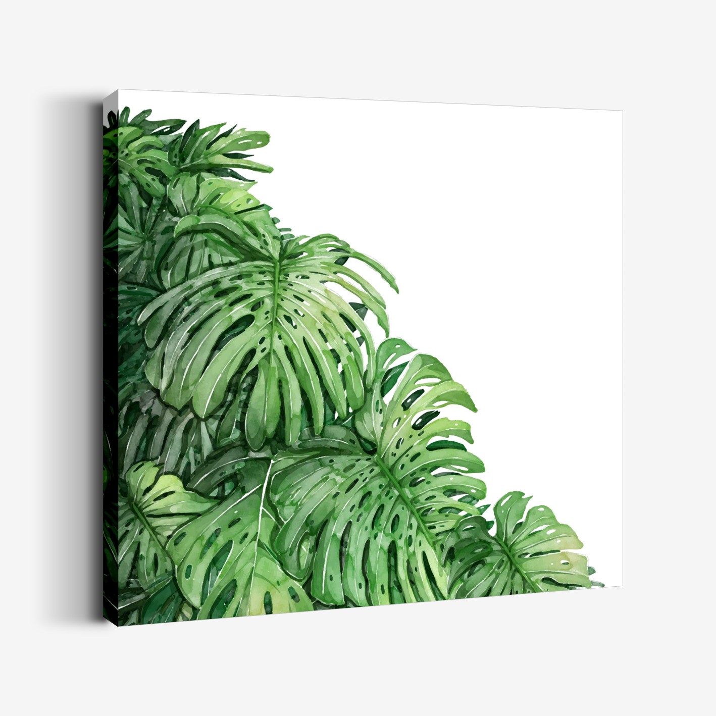 Monstera Tablo