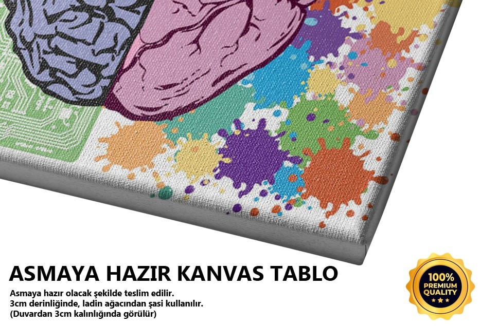 Beyin İşleyişi Tablo