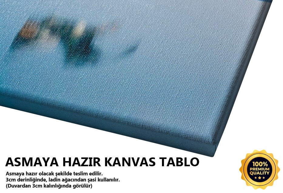 Kuş Uçuşta Tablo