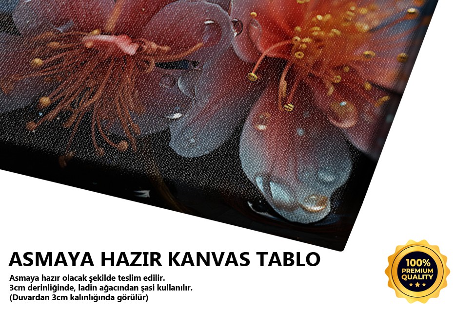 Pembe Çiçek Detayı