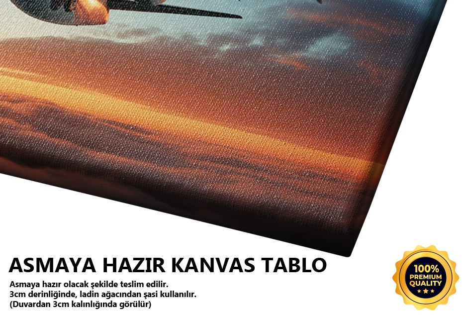 Günbatımında Ticari Uçuş