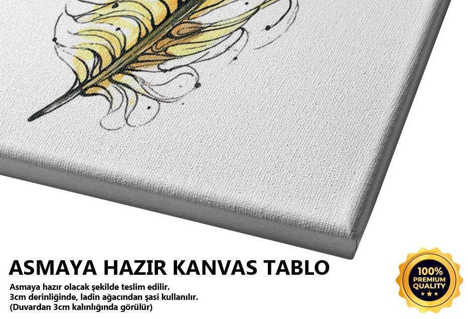 Tüy 11 Tablo