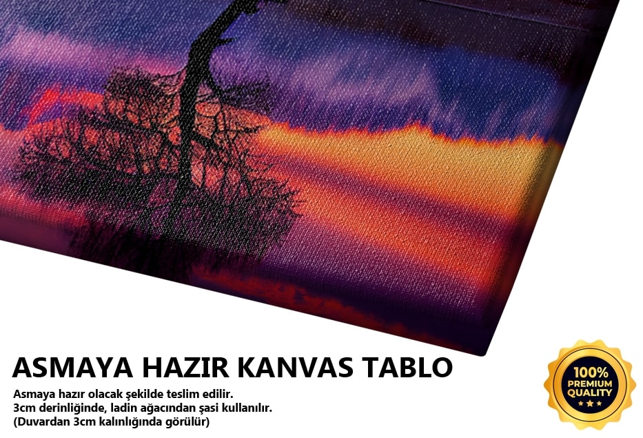 Mor Dağ ve Yansıma Manzarası