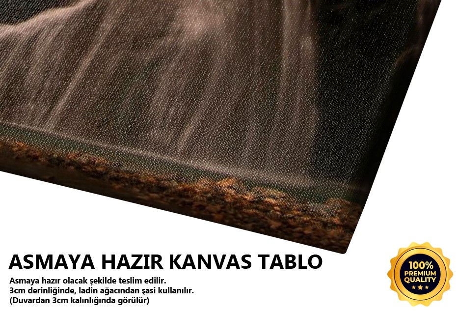 Şelale Tablo