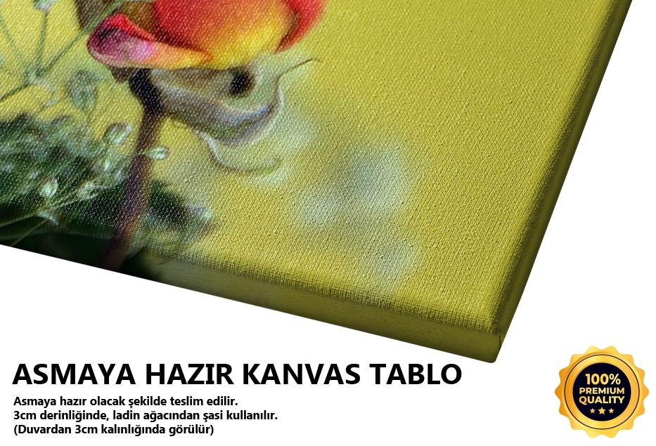 Güle İftira II -2008 Tablo