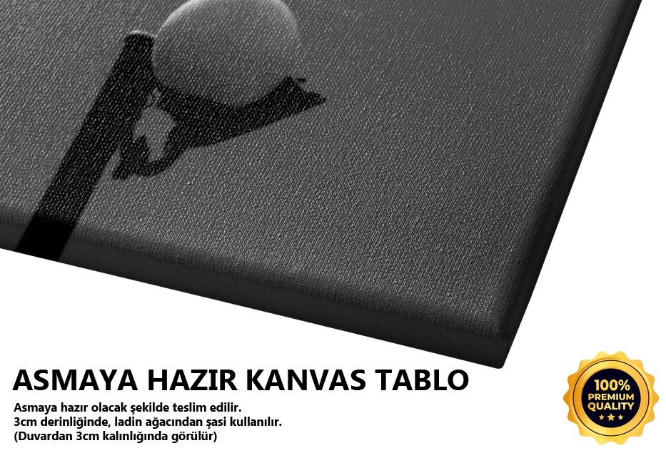 Uçuyorum Ama Nerede? -2008 Tablo