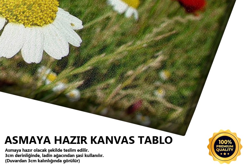Yıldız Papatyalar -2006 Tablo