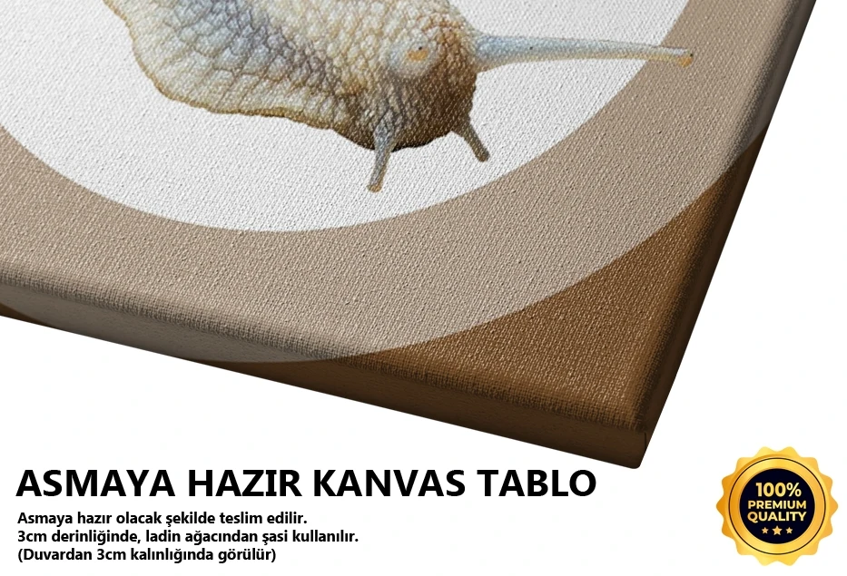 Salyangoz Kare Seri 2 Tablo