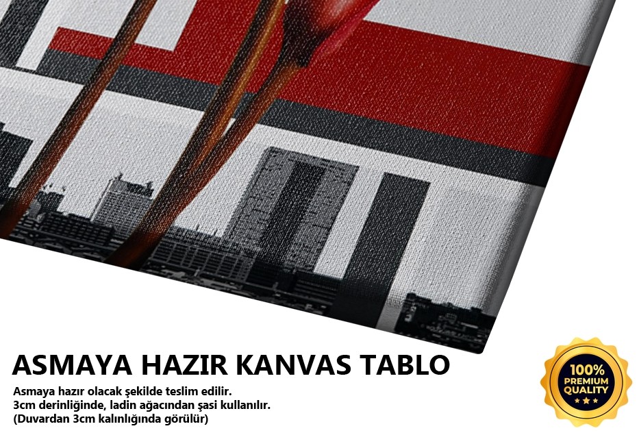 Üç Kırmızı Çiçek Tablo
