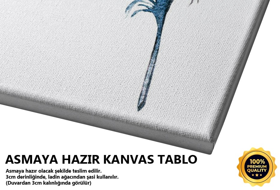 Renkli Tüy 1 Tablo