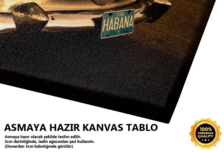 Klasik Araba Tablo