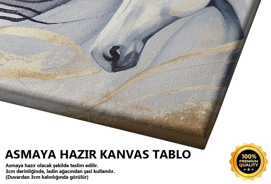 Beyaz At Deseni