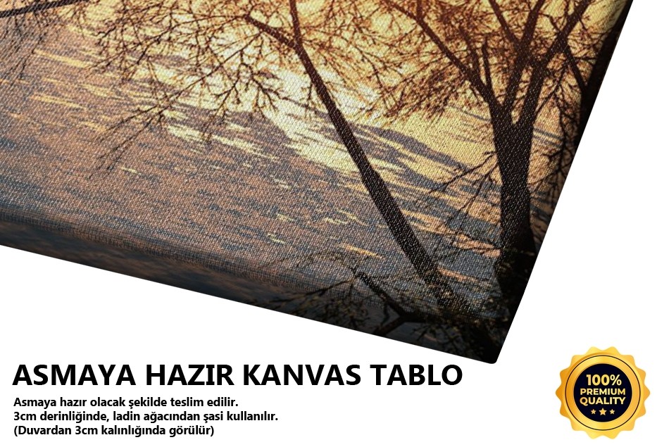 Ağaçlar Ve Güneş Tablo