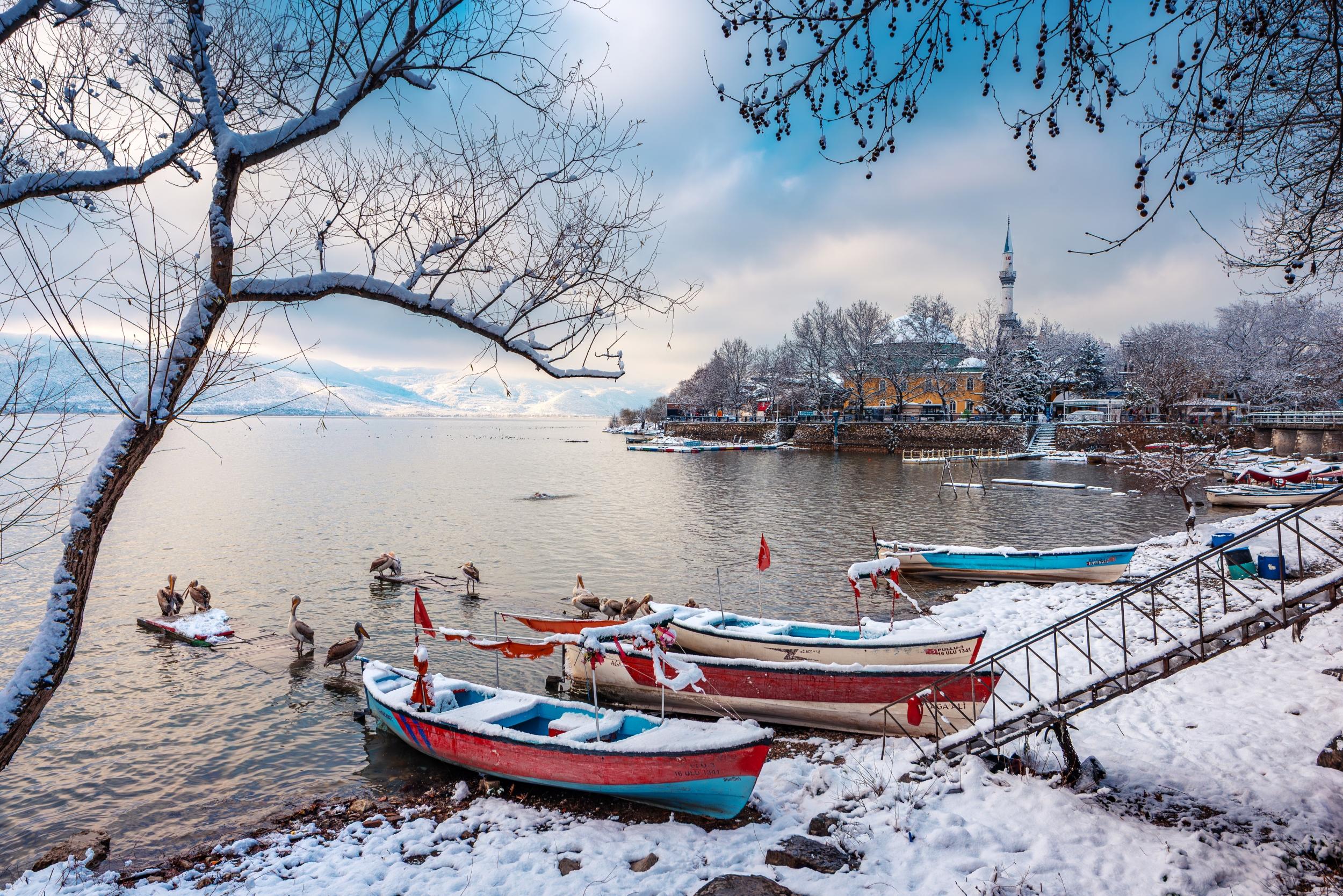 Kayıklar ve Pelikanlar