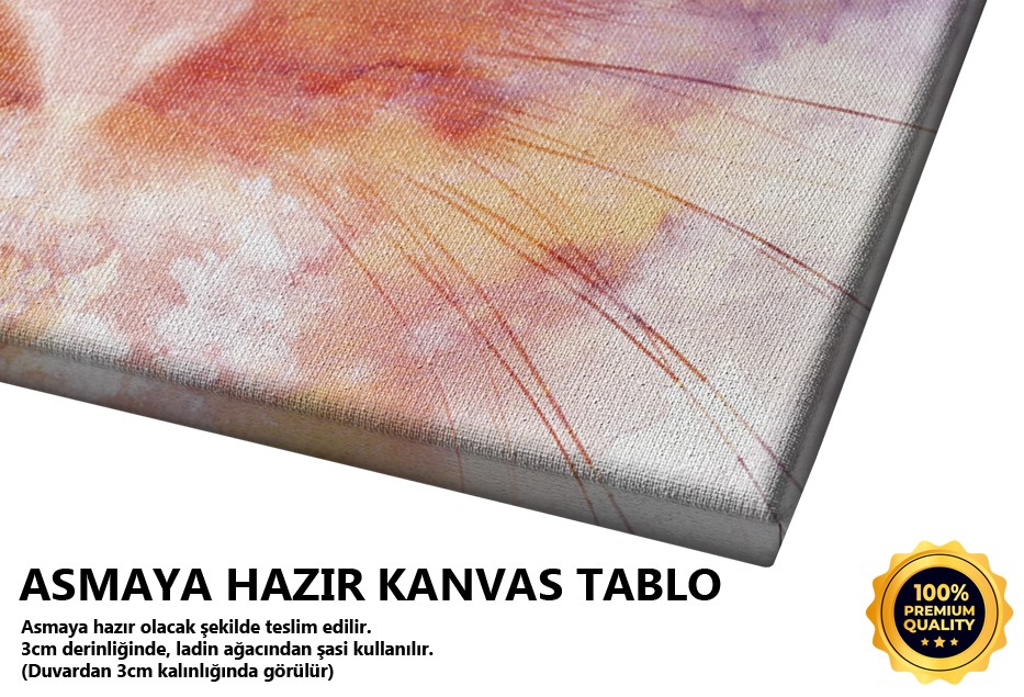 Pembe Kırmızı Soyut Fırça Vuruşları