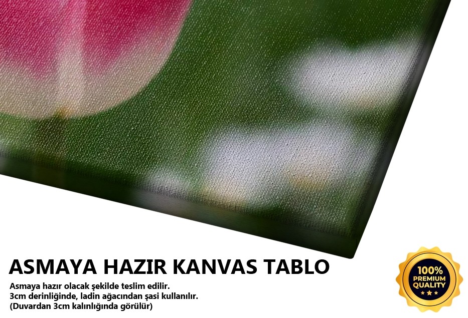 Pembe Lale 2 Tablo