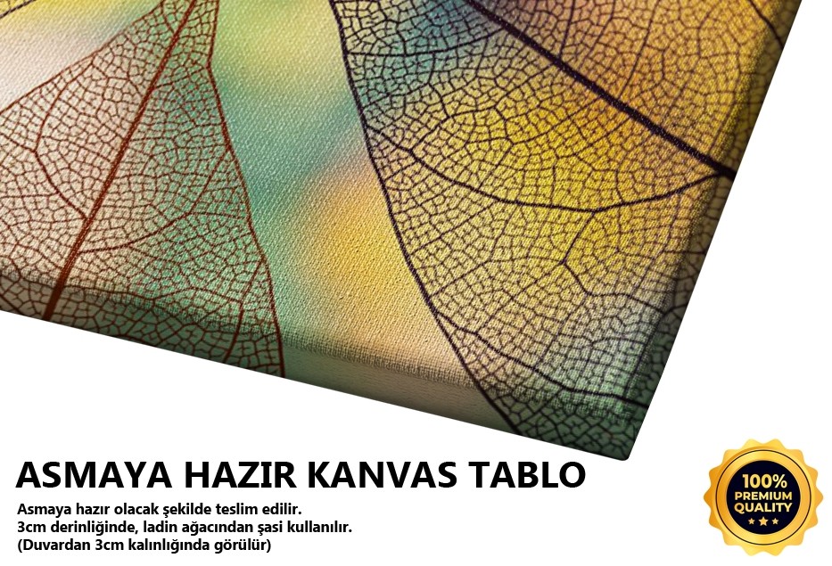 Çizgisel Yapraklar Tablo
