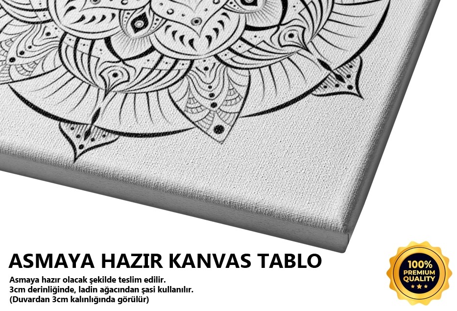 Gülümse Çekiyorum Tablo