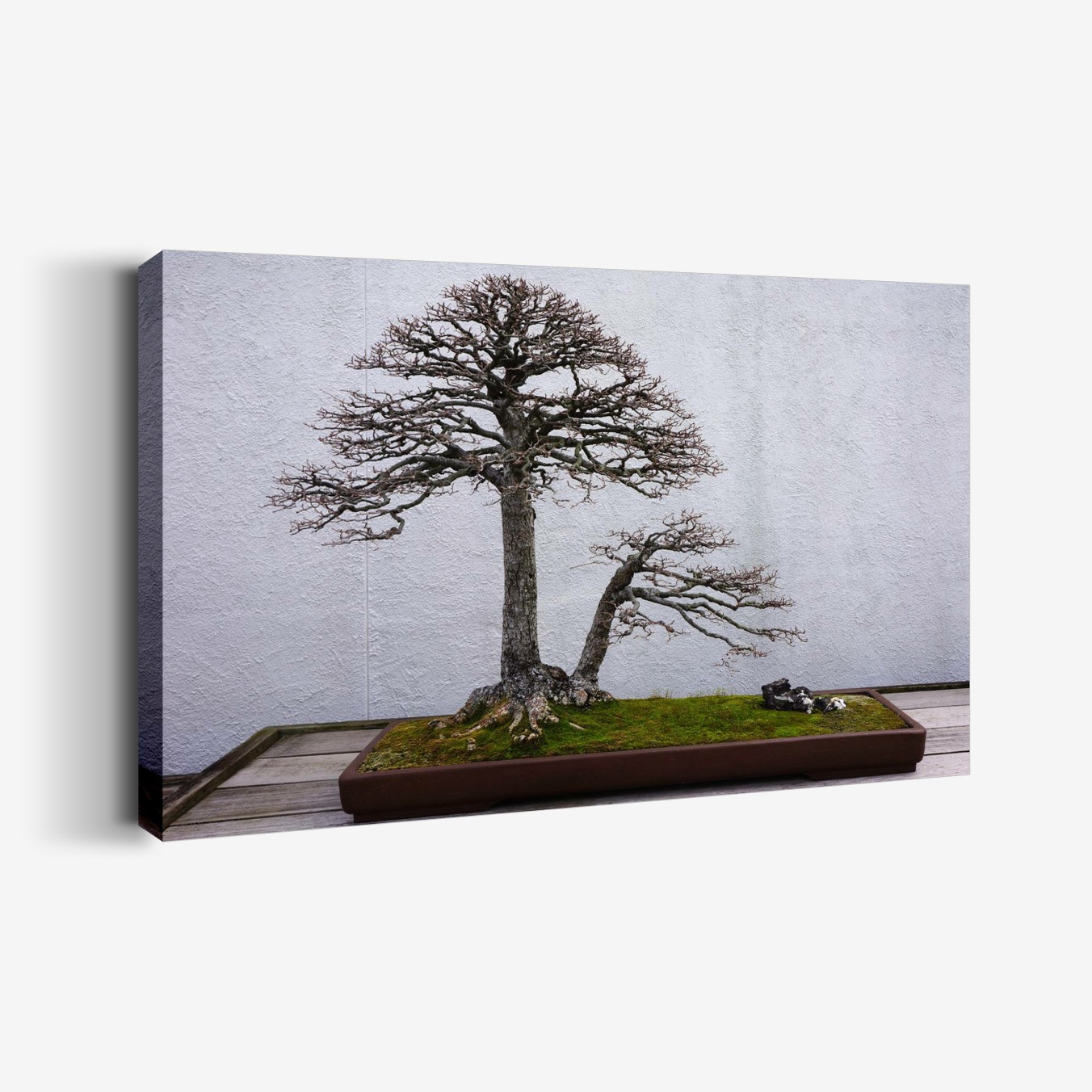 Yavrulu Bonsai Tablo