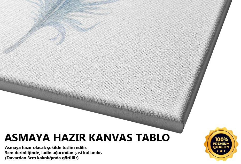 Tüy 7 Tablo