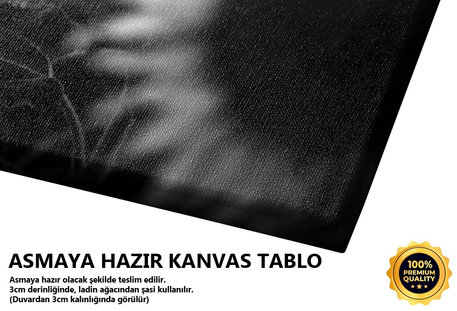 Uçuşan Saçların (Keşan-Edirne) Tablo