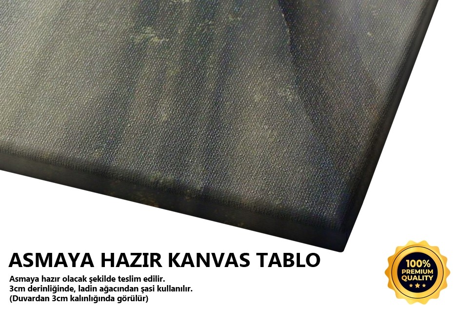 Ağaçlar Ve Süzülen Işık Tablo