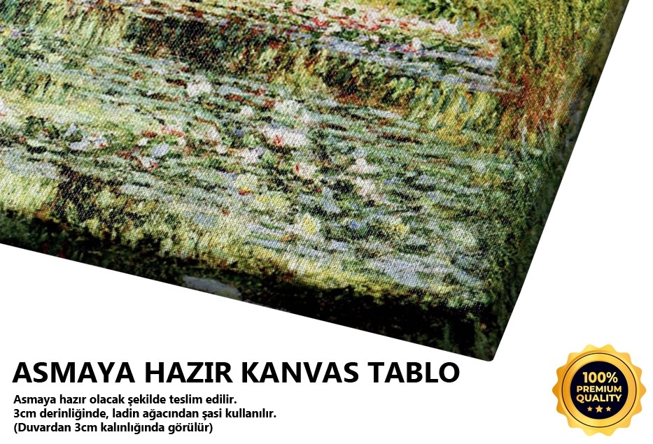 Japon Köprüsü, 1899 Tablo