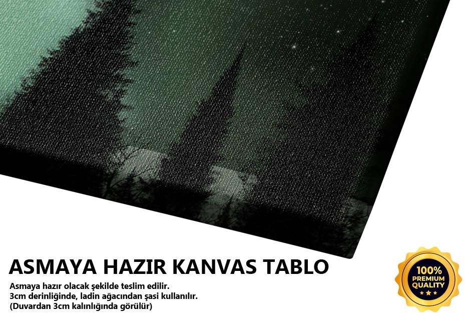 Kuzey Işıklarıyla Kış Manzarası