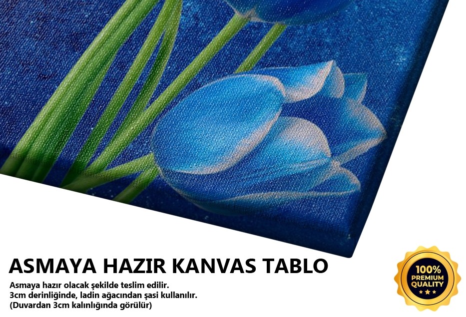 Mavi Laleler Tablo