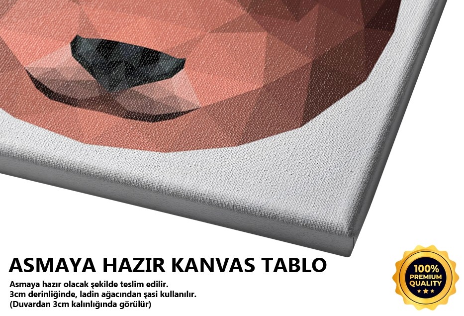 Geometrik Ayı Tablo