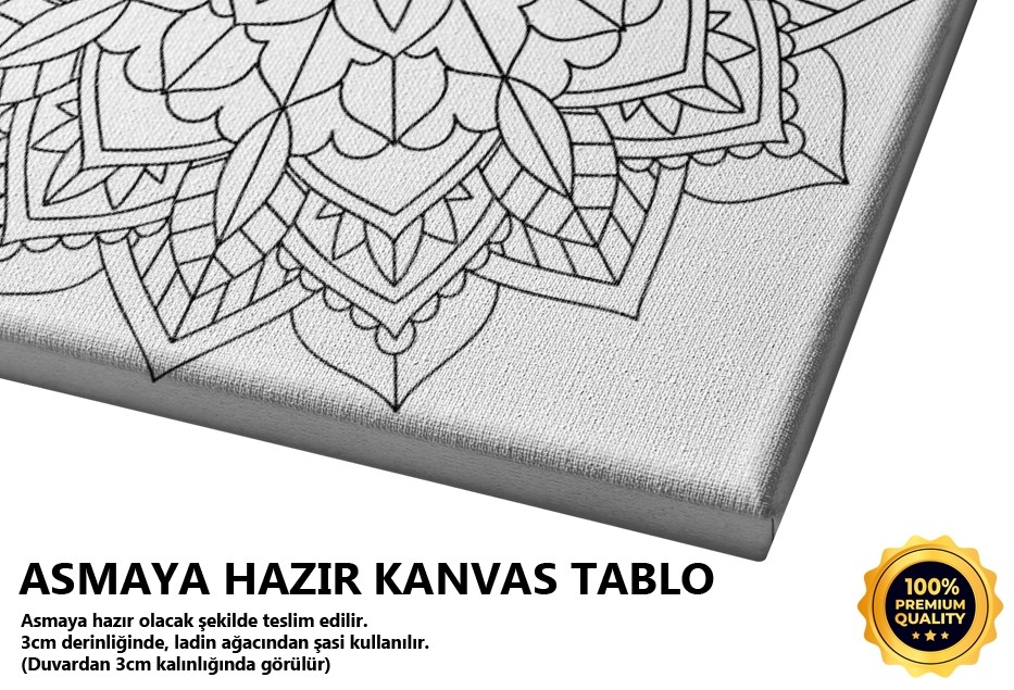 Bisiklet Tarihi 1 Tablo