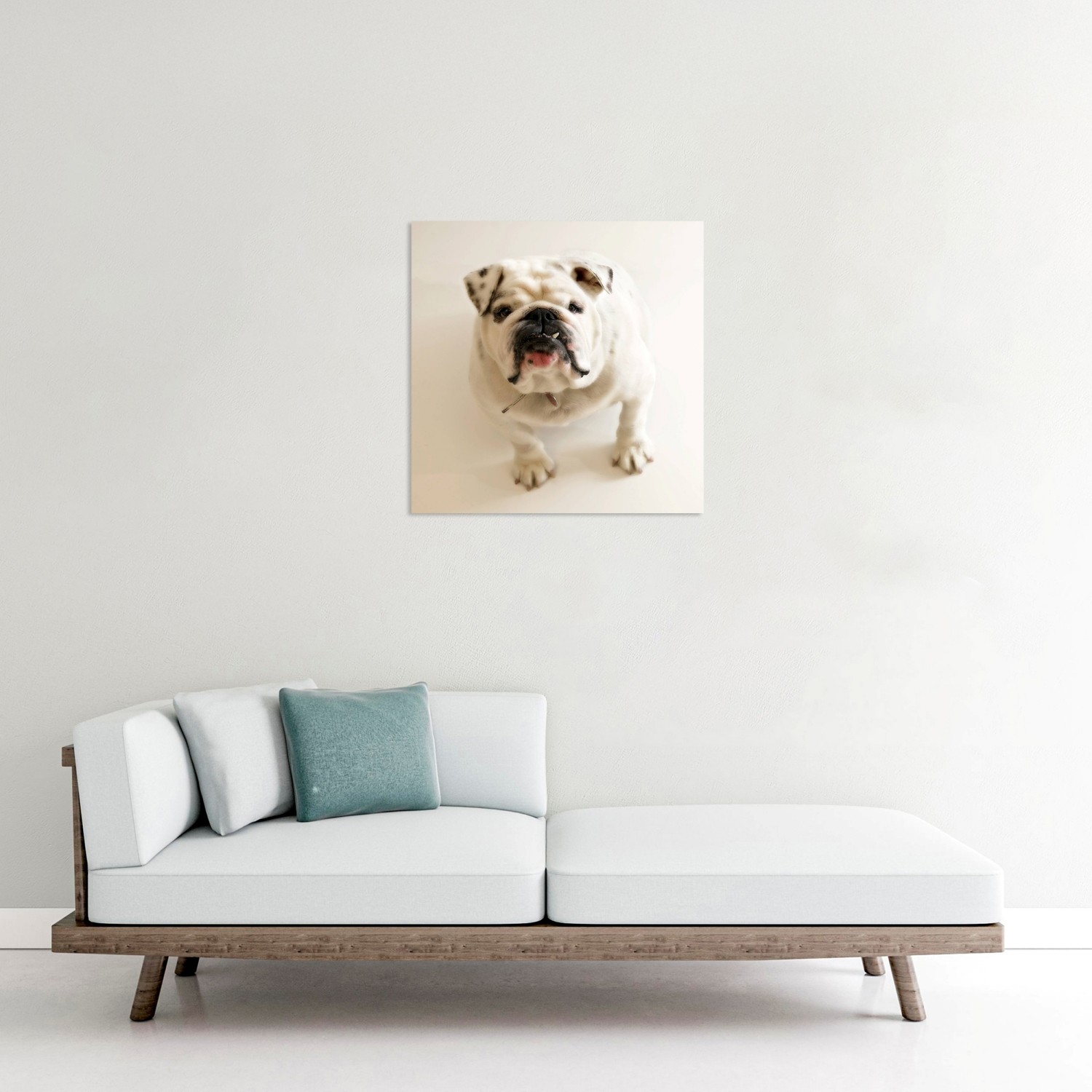 Buldog Tablo