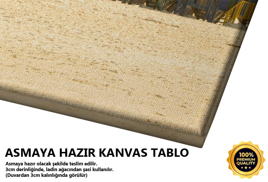 Sahil Evleri 1 Tablo