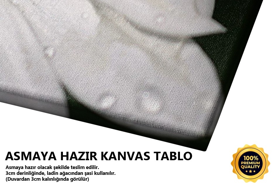 Papatya Tablo