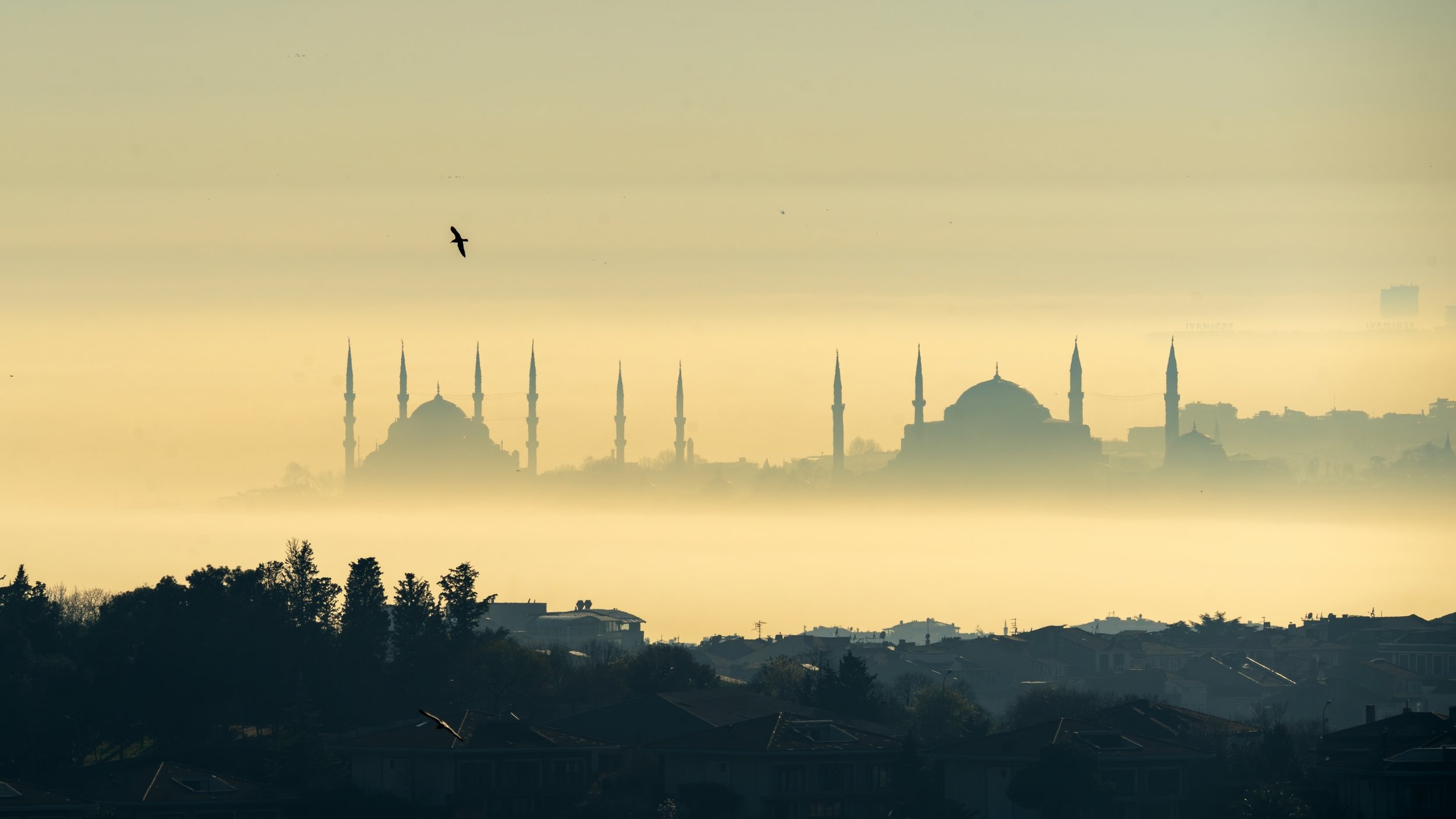 Ayasofya Camii ve Sultanahmet Camii
