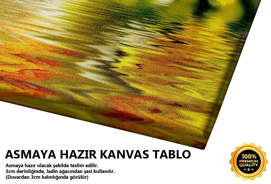 Su Üzerinde Yapraklar Tablo