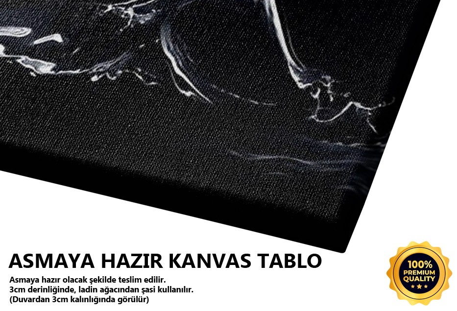 Suda Koşan At Tablo