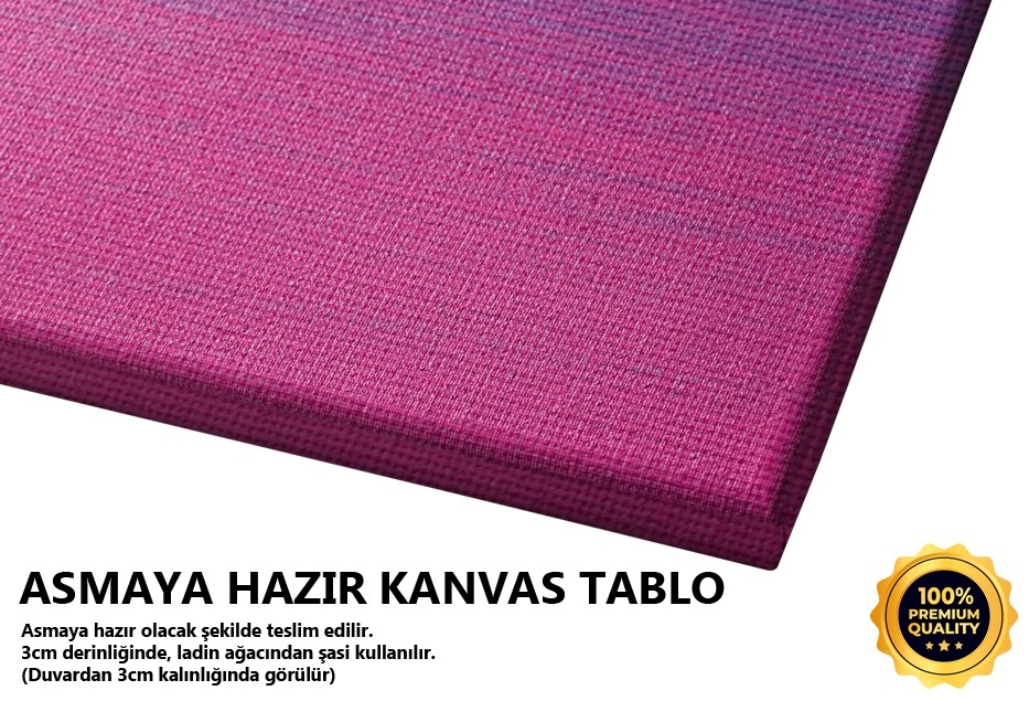 Pembe Mavi Yağlıboya 2 Tablo