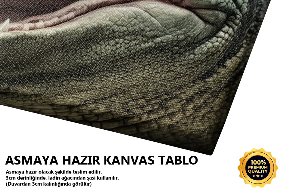 Timsah Açık Ağız Detayı