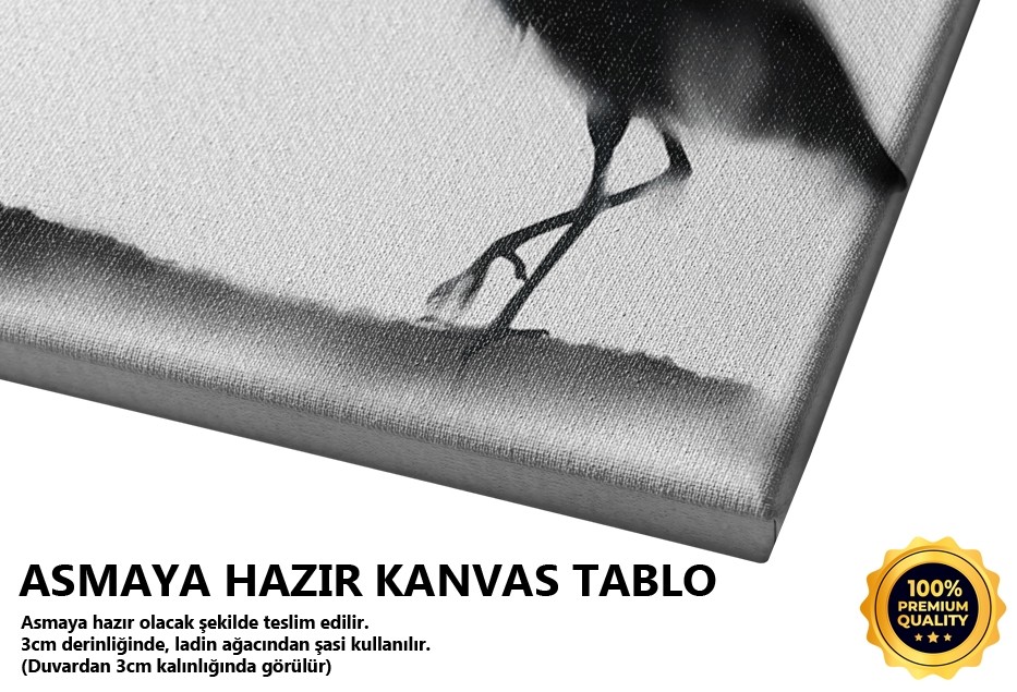 Turna Kuşu ve Sakura Dalı