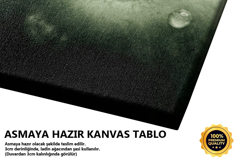 Yeşil Elma Tablo