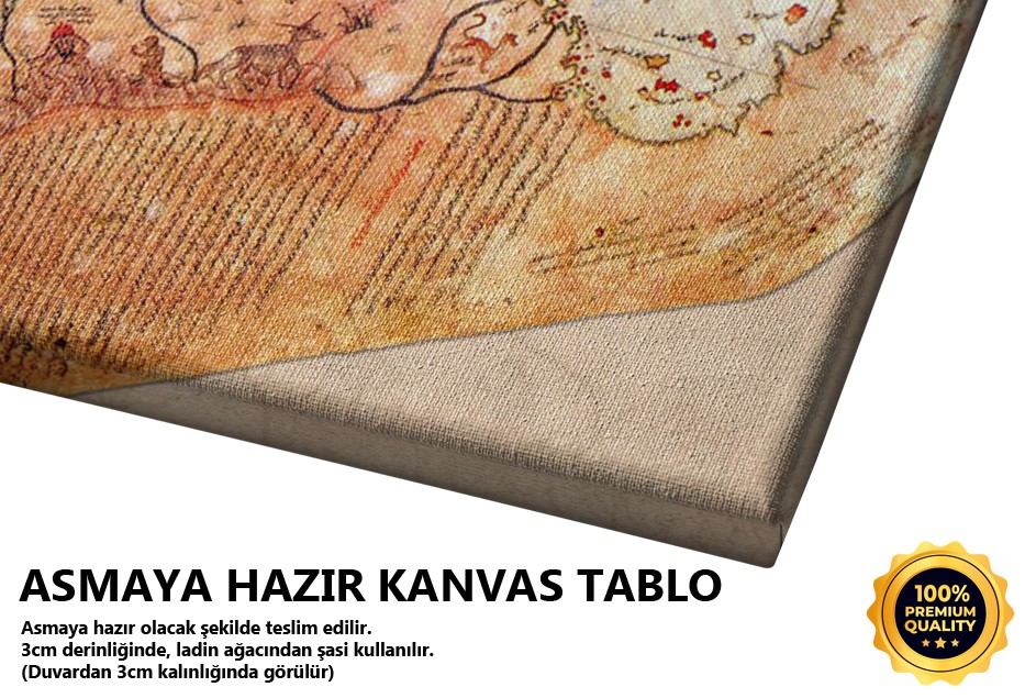 Piri Reis Haritası Tablo