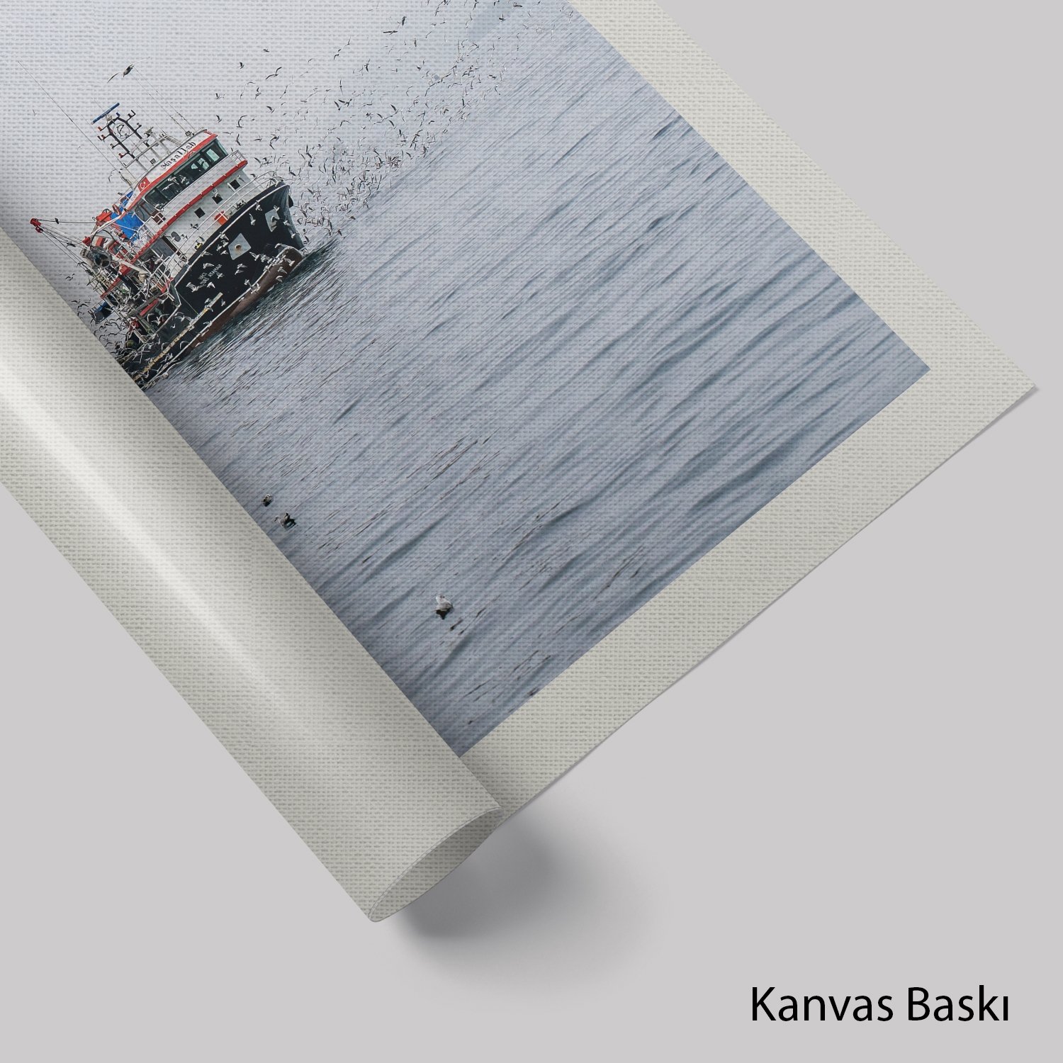 Balıkçı Teknesi ve Martılar