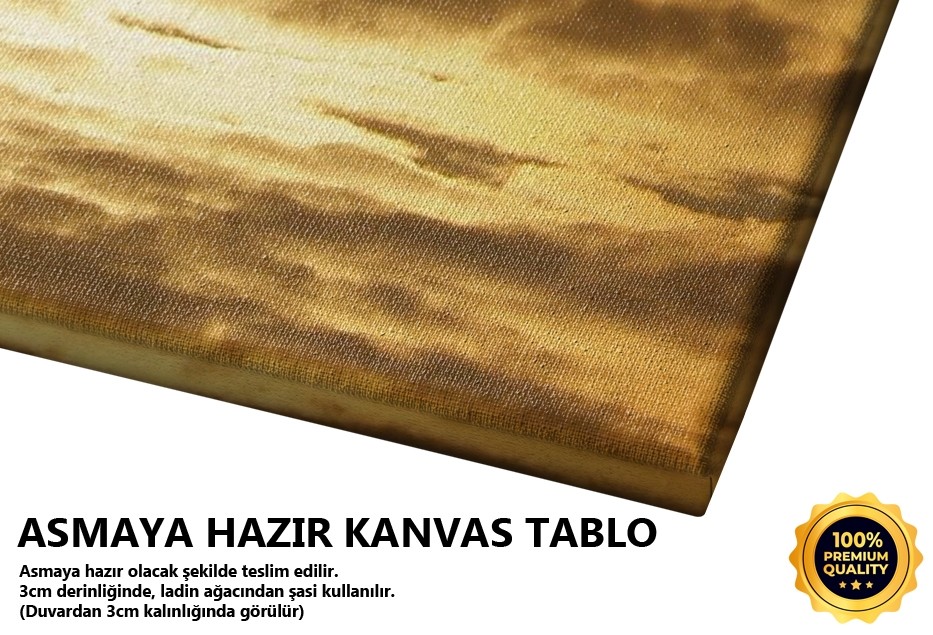 Aynı Göğü Kanatlamak Tablo