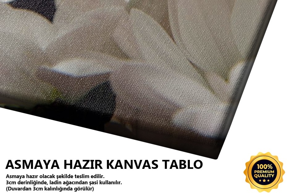 Papatya Katları -2008 Tablo