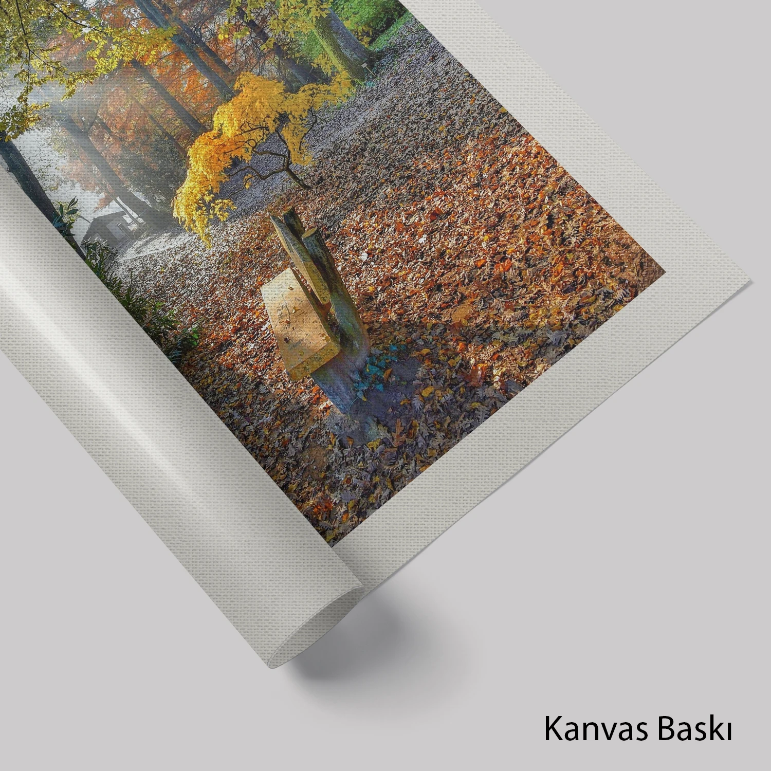 Işık Hüzmesi ve Sonbahar