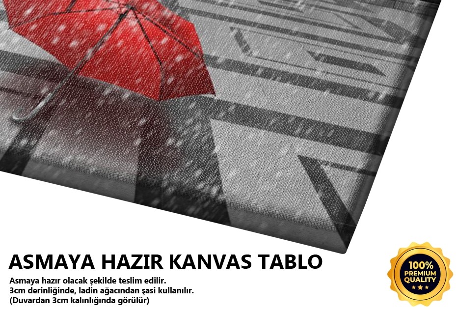Şemsiyeli Eyfel Tablo