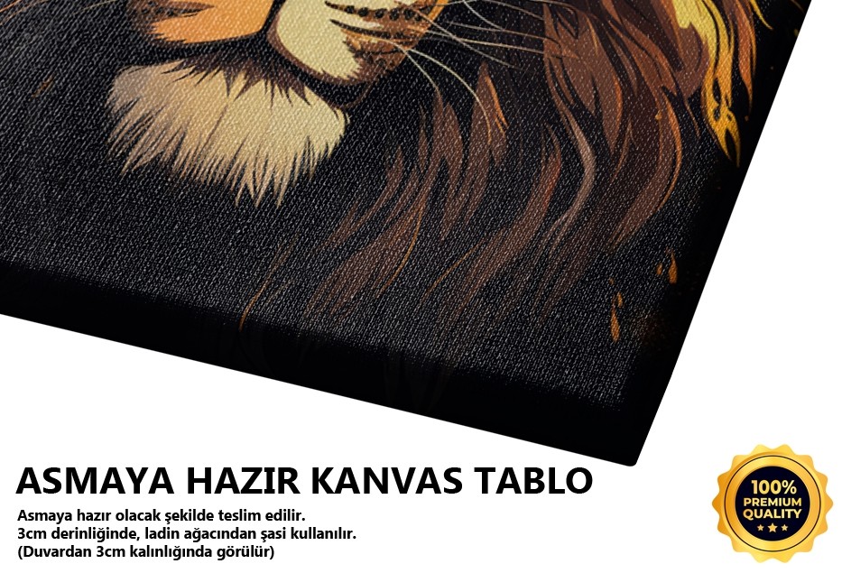 Aslan Portresi